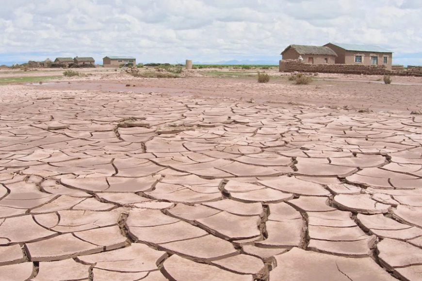 ANGOLA PARTICIPA NA COP17 COM FOCO NO COMBATE À DESERTIFICAÇÃO E REFORÇO DO FINANCIAMENTO